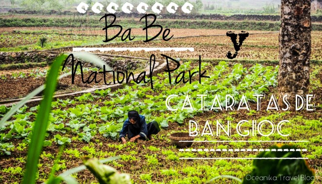 Image-20180317_170732