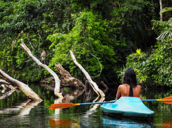 Image-20171206_182058