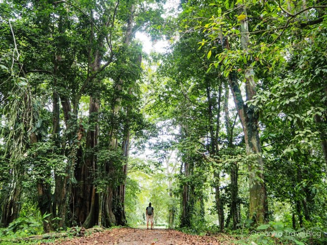 Image-20180106_141840