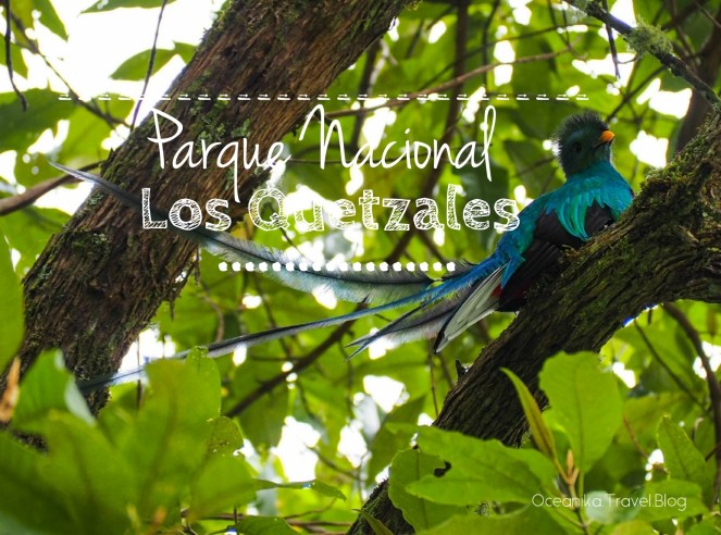 Image-20180228_123747