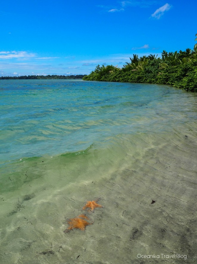 Image-20180310_161302