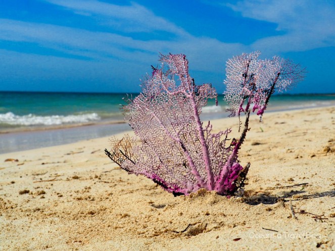 Image-20180407_154828